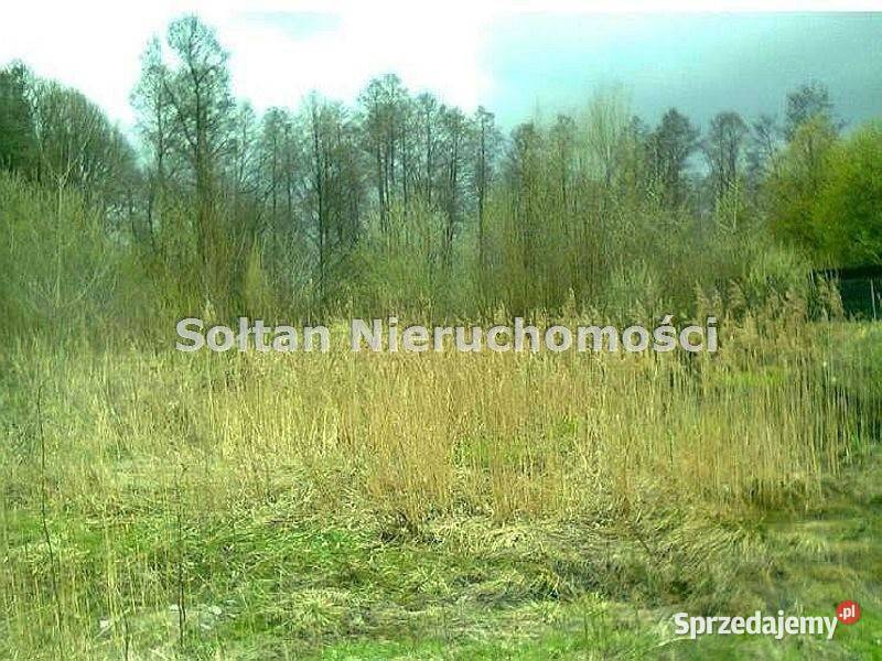 Oferta sprzedaży gruntu Chlebnia 90000m2