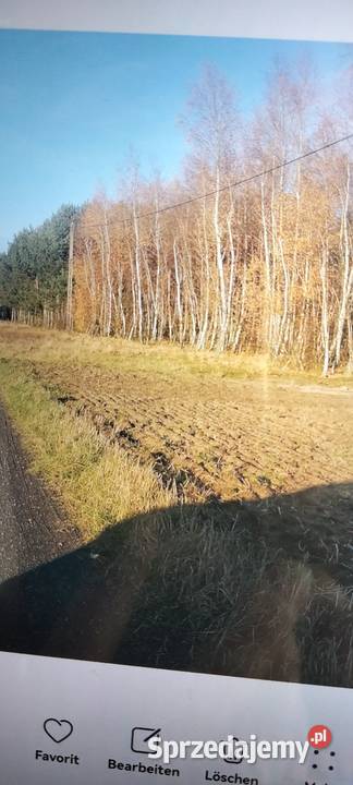 Działka leśna wielkopolskie Kiełczew Smużny Czwarty