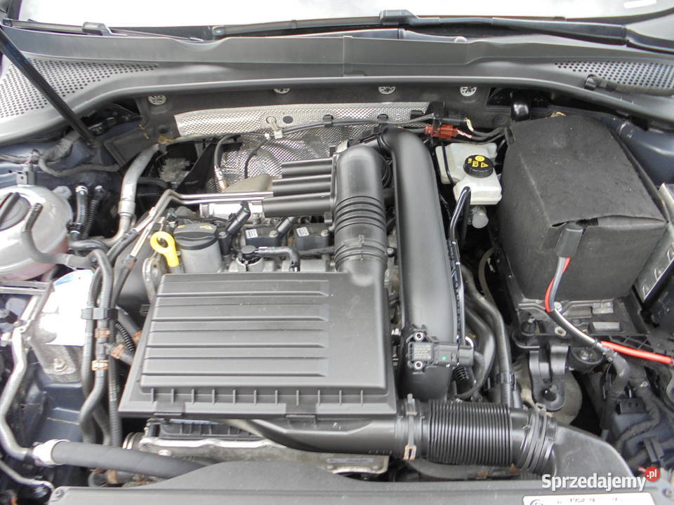 Volkswagen Golf 12 TSI BlueMotion Technology Hatchback Bydgoszcz