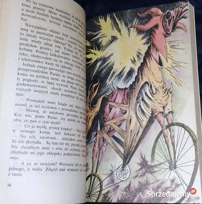 Anioł ognisty mój anioł lewy Jerzy Pietrkiewicz miękka Chełm