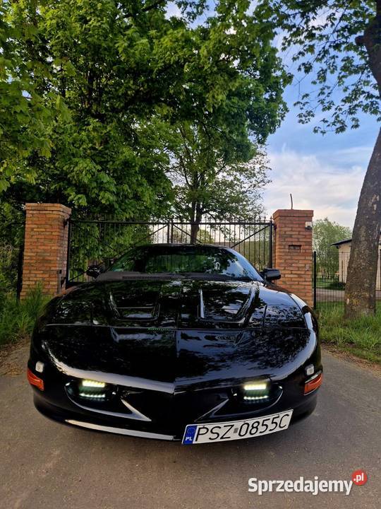Pontiac Firebird Chevrolet Camaro Szamotuły