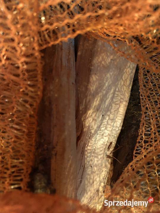 Suche kaloryczne drewno kominkowe do kominka na Kościelisko