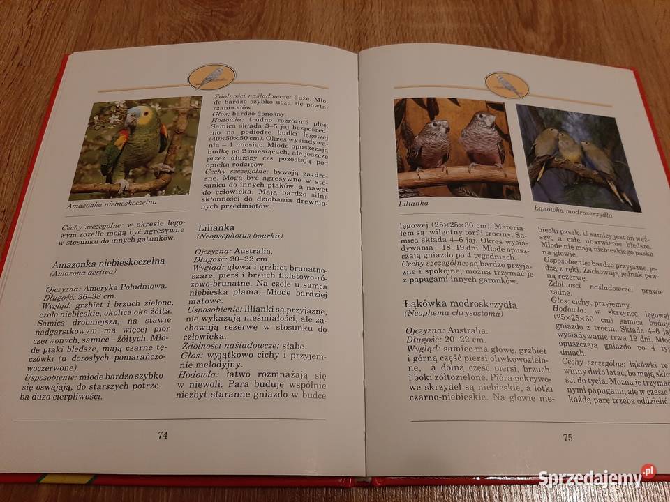 Papugi i papużki Eva Maria Bartenschlager Bądkowo