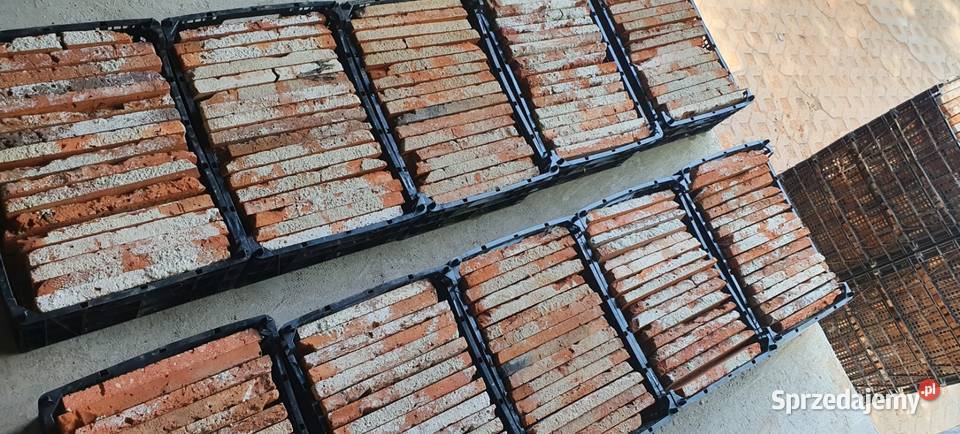 Płytki ceglane lico płytki Chojnów