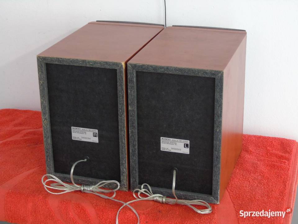 Kolumny Sony SSCCPZ1 śliczne i sprawne WYSYŁKA Audio podkarpackie