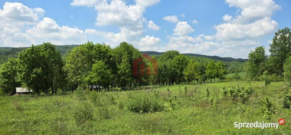 Działka 5200m2 Dębowa