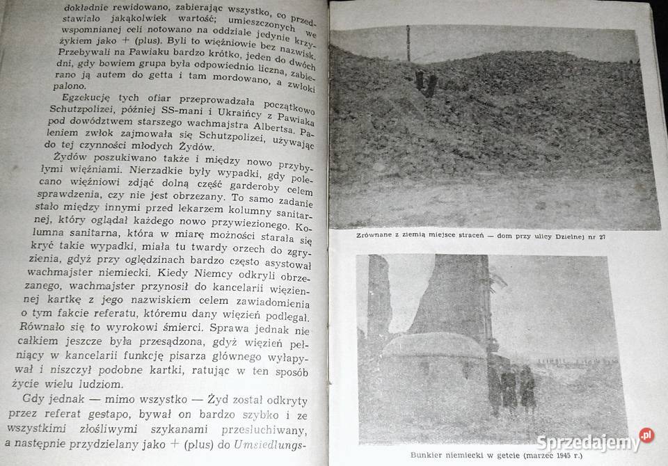 murami Pawiaka Leon Wanat miękka lubelskie Chełm