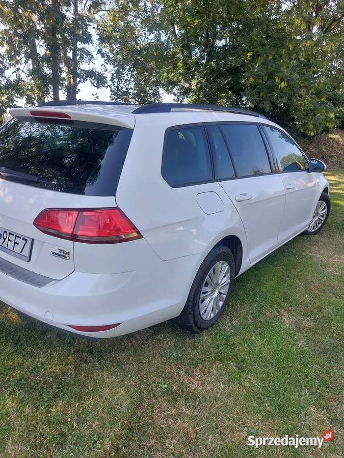 Volkswagen Golf VII Kombi 16 TDI BLUMOTION dolnośląskie
