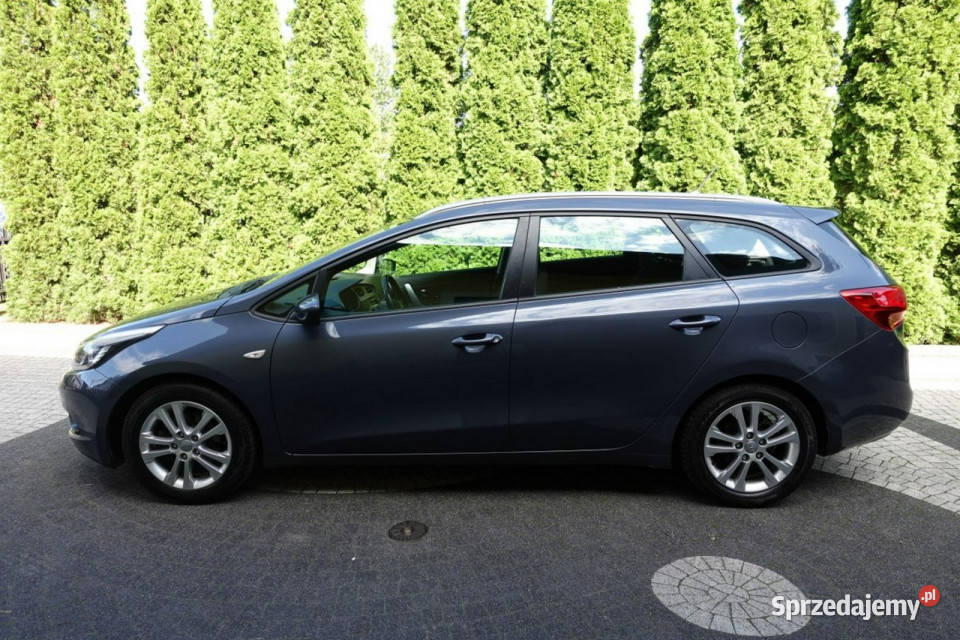Kia Ceed Wzorowy Stan Prosty Silnik 100 Płońsk sprzedam