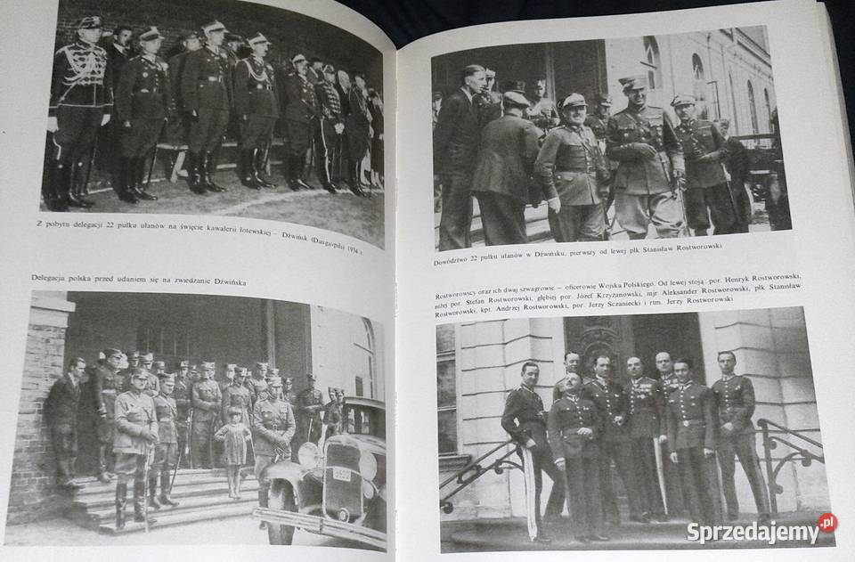 Łuna Warszawy Stanisław Rostworowski Chełm sprzedam