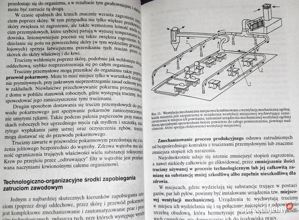 Bezpieczeństwo i higiena pracy Arwid Hansen Chełm