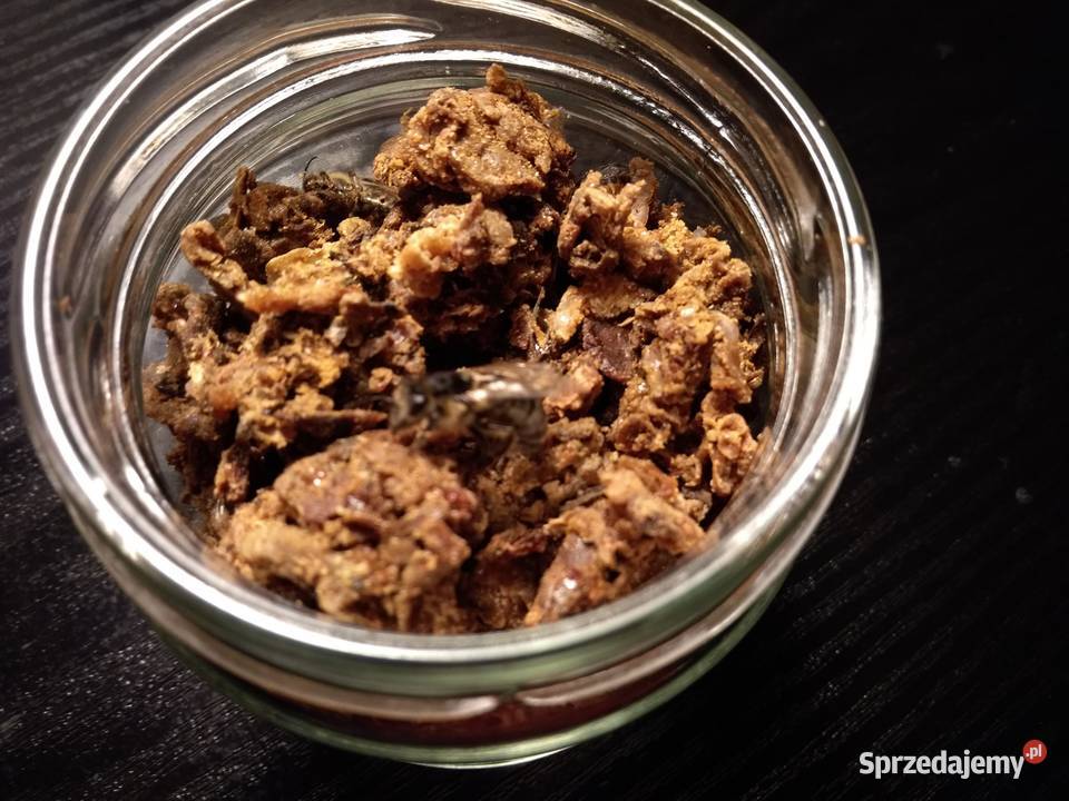 Mleczko pszczele trutowe Gomogenat Trutowy mazowieckie Warszawa