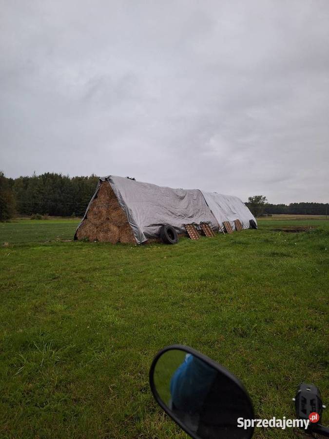 Sprzedam bele słomy Iłża sprzedam