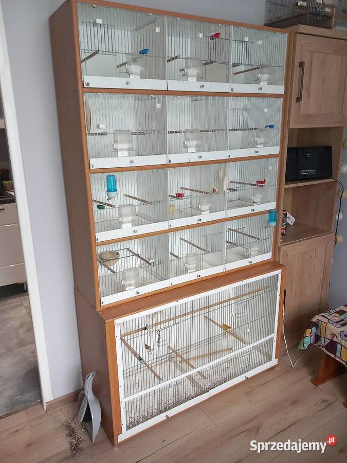 Regał na ptaki Poznań