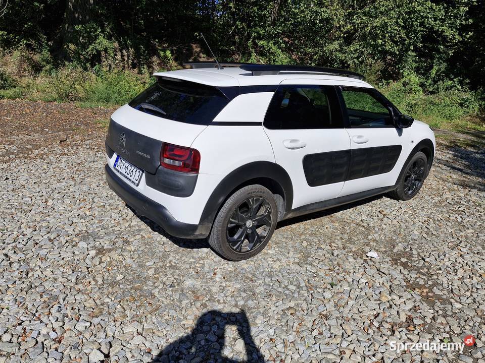 Citroen cactus z lpg i androidauto 1190cm3 Ścinawa Nyska sprzedam