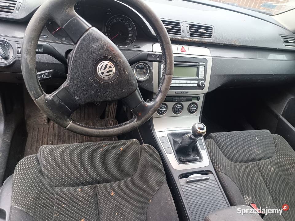 Tani wół roboczy Passat Tarnawa Rzepińska