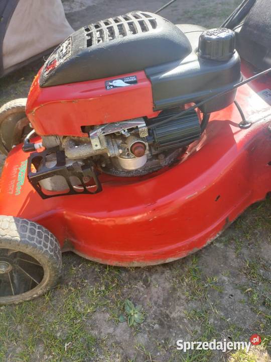 Kosiarka spalinowa lubelskie Krupe