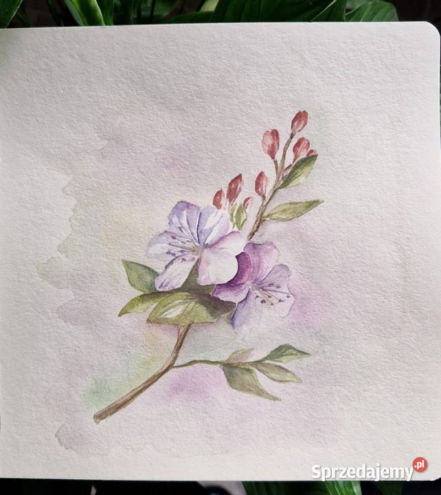Oryginalne prace malowane akwarelą