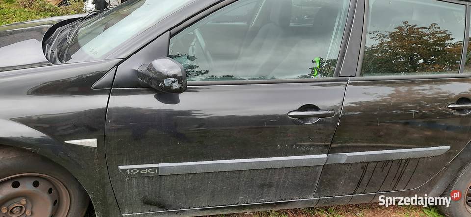 Drzwi lewe lewy tył Renault Megan ll NV676 Części samochodowe Szczecin