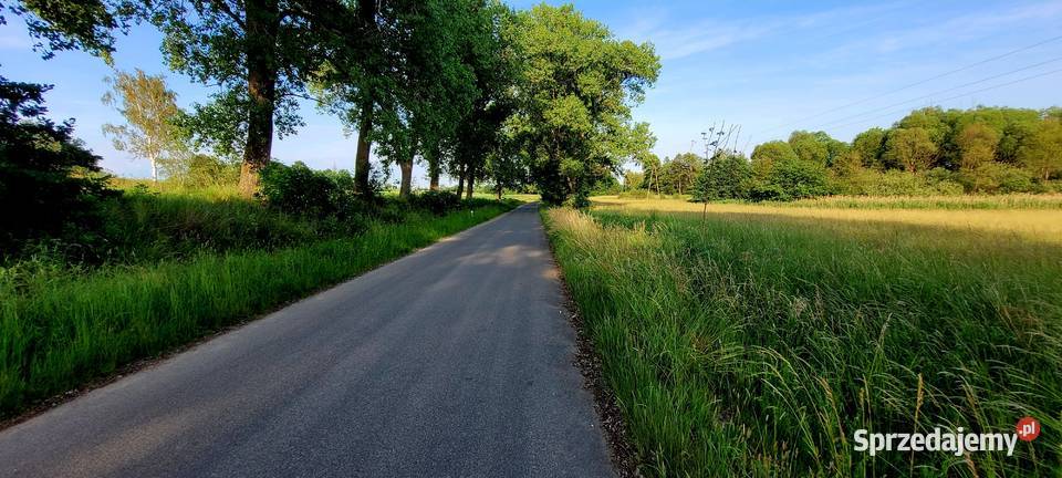 Działka Rolna 3000 m2 Słupice dolnośląskie