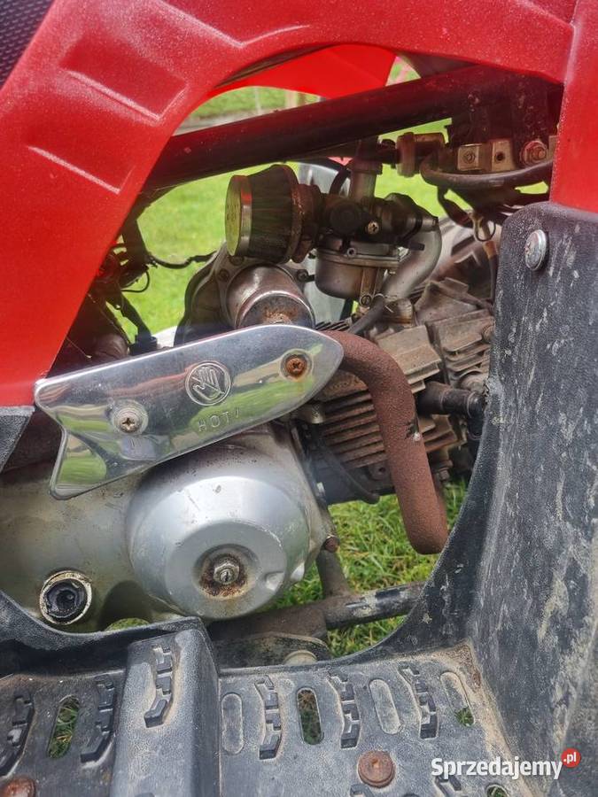 Quad Kingway minicatR 110 Świbie