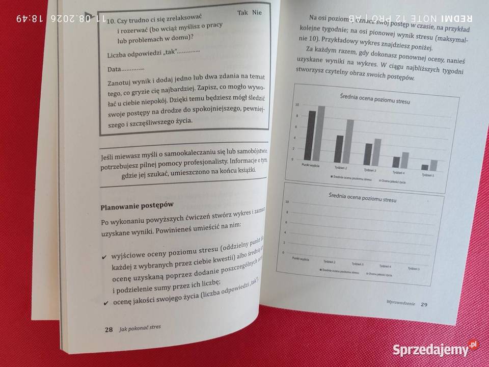 pokonać stres Joy Langley poradnik psychologia