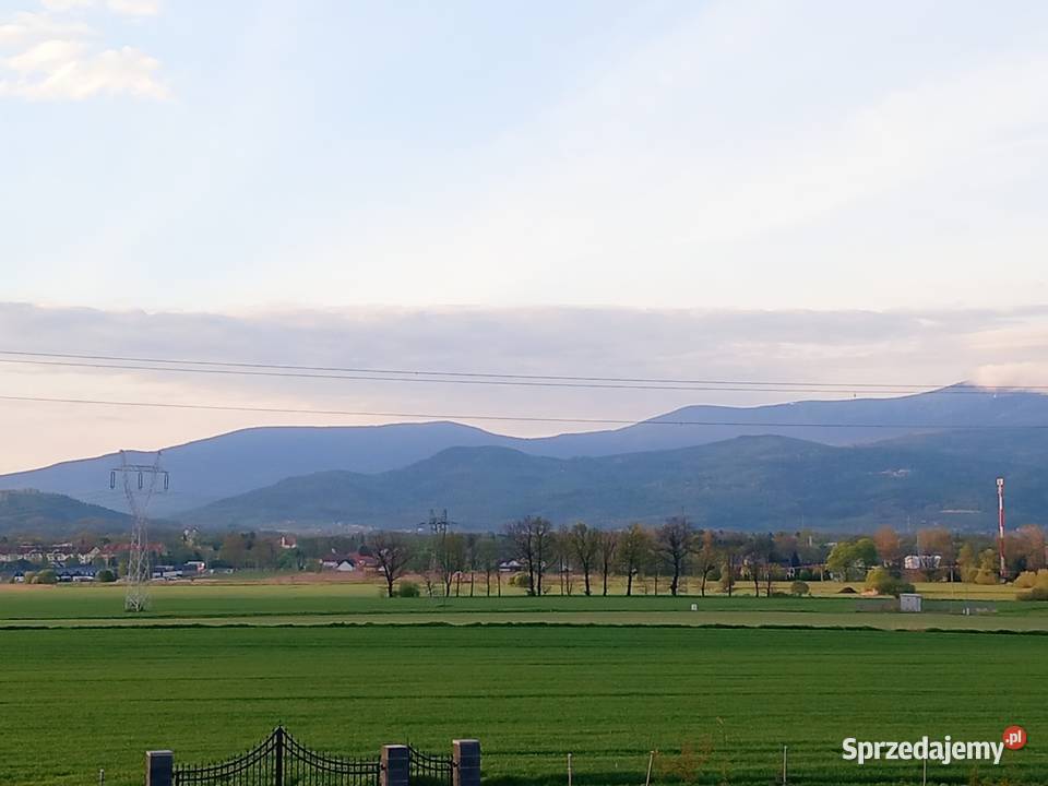 Sprzedam ziemie Wojcieszyce sprzedam
