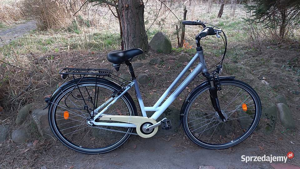 Alu Rower Miejski Damski Curtis Damka Nexus 7