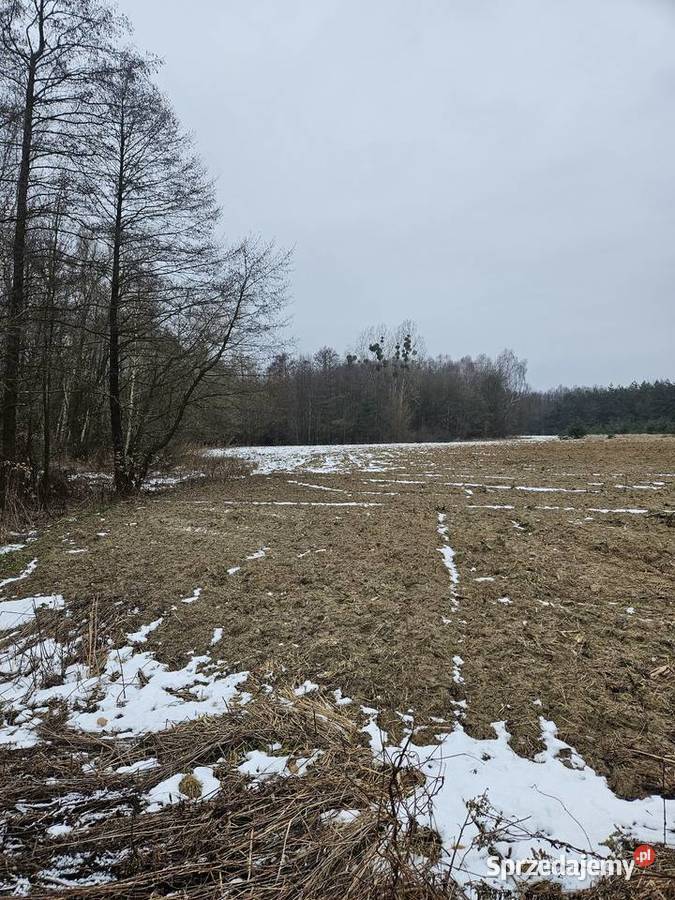 Działki budowlane i rolne Dolina Baryczy Łazy Wielkie