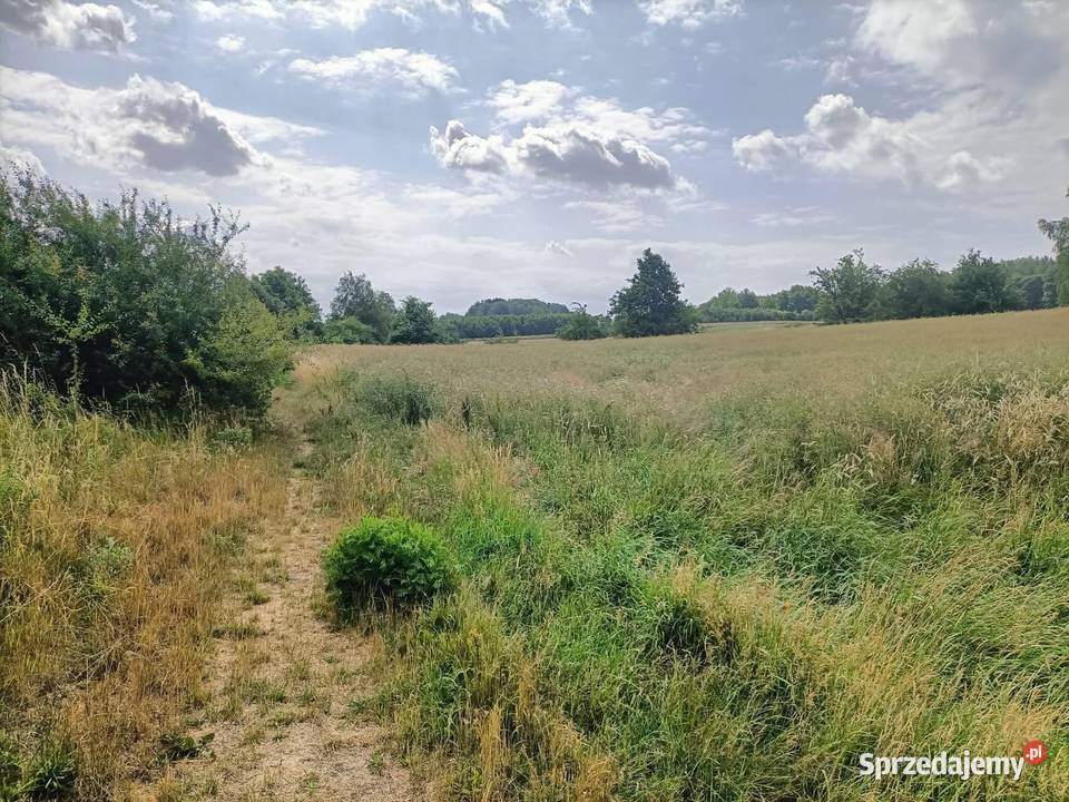 Działka budowlana budowlana