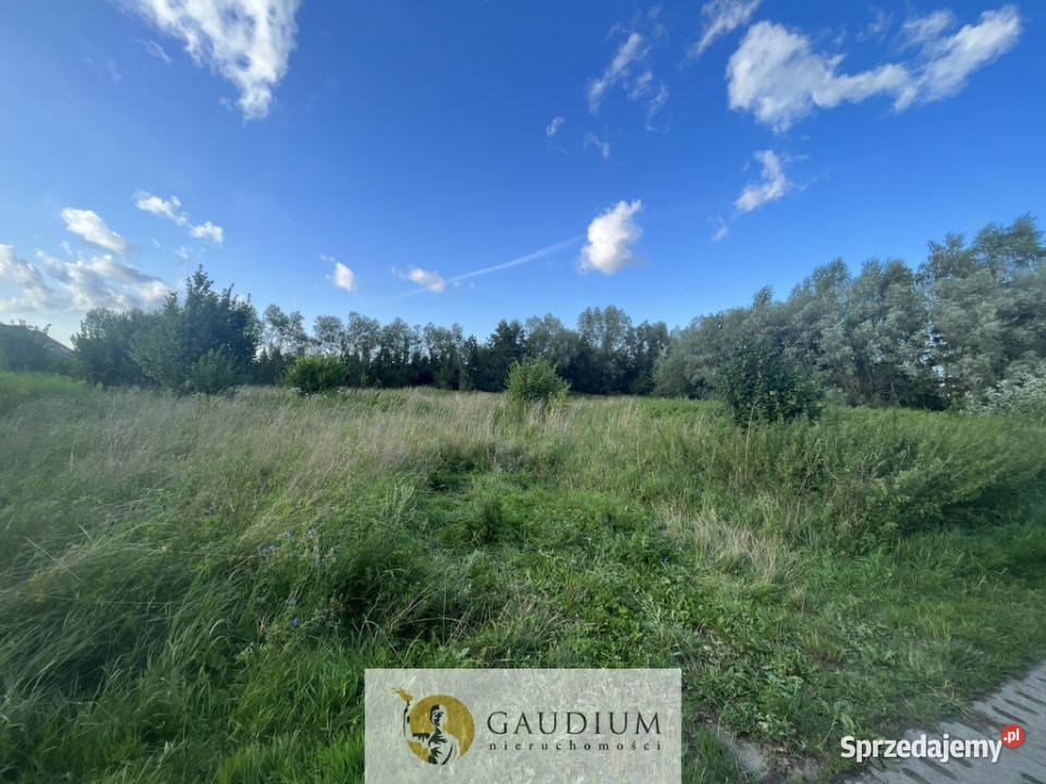 Działka na Żuławach I trasy S7 I 2500 m2 Kiezmark sprzedam