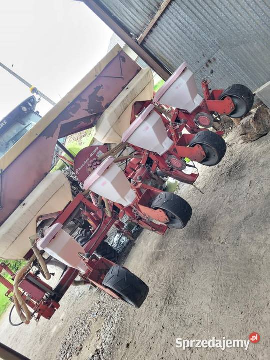 Siewnik kukurydzy 4 rzędy accord optima Siewniki i sadzarki sprzedam