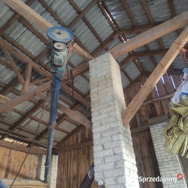 Podajnik żmijka do zboża lubelskie Jadwisin