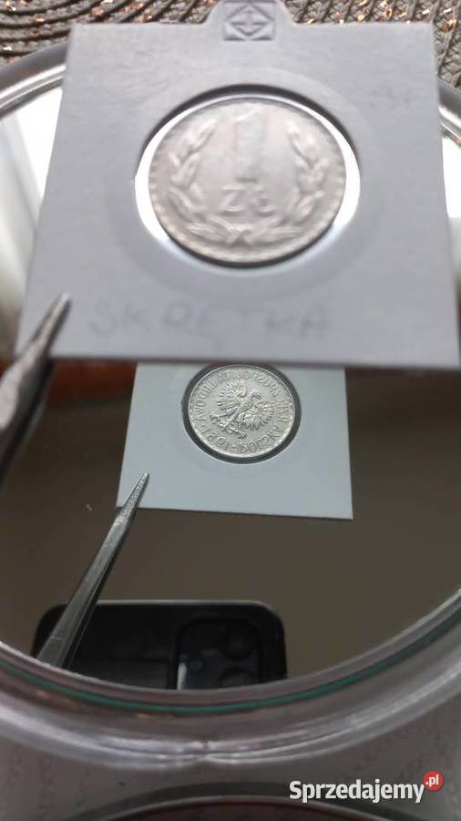 1 złoty 1981 destrukt skrętka Trzebinia