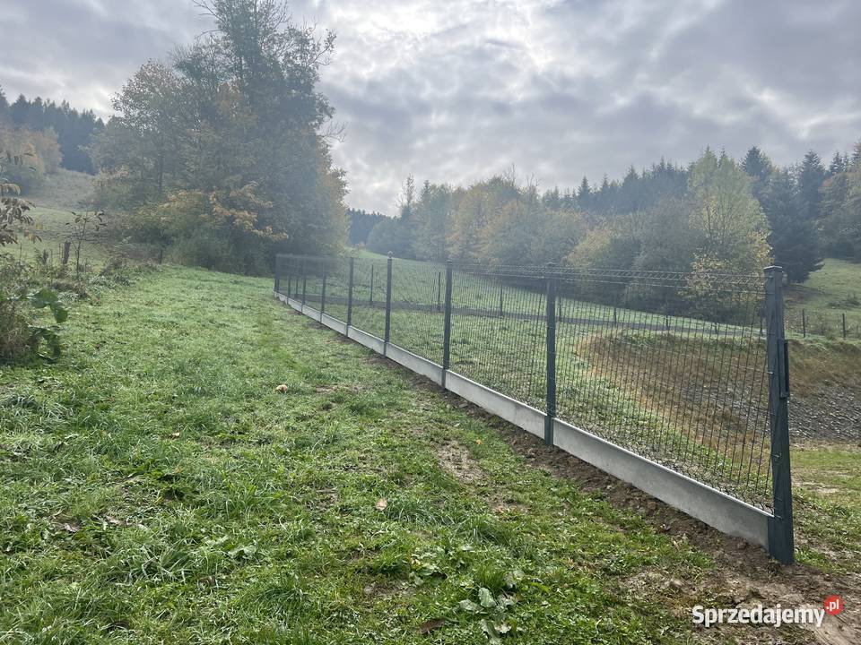 Panele Ogrodzenia Bramy Furtki małopolskie Bukowina Tatrzańska