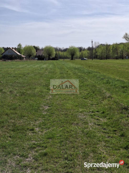 Grunt 3000m2 Nowe Wągrodno rolna