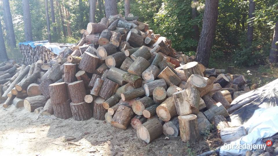 Drewno drzewo opałowe Sosna pieńki wałki Opał Siemiatycze