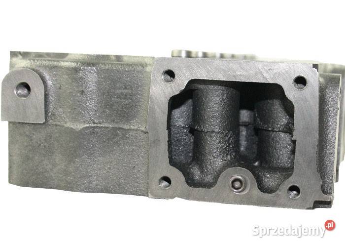 Głowica Cylindrów Kubota Silnika D905 Silnik i osprzęt Tajęcina