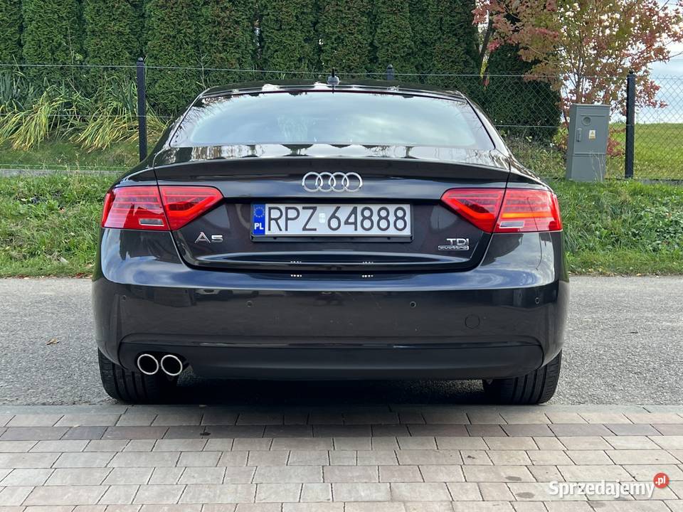 20 TDI 190 QUATTRO Brązowe skóry łopatki zmiany Kańczuga