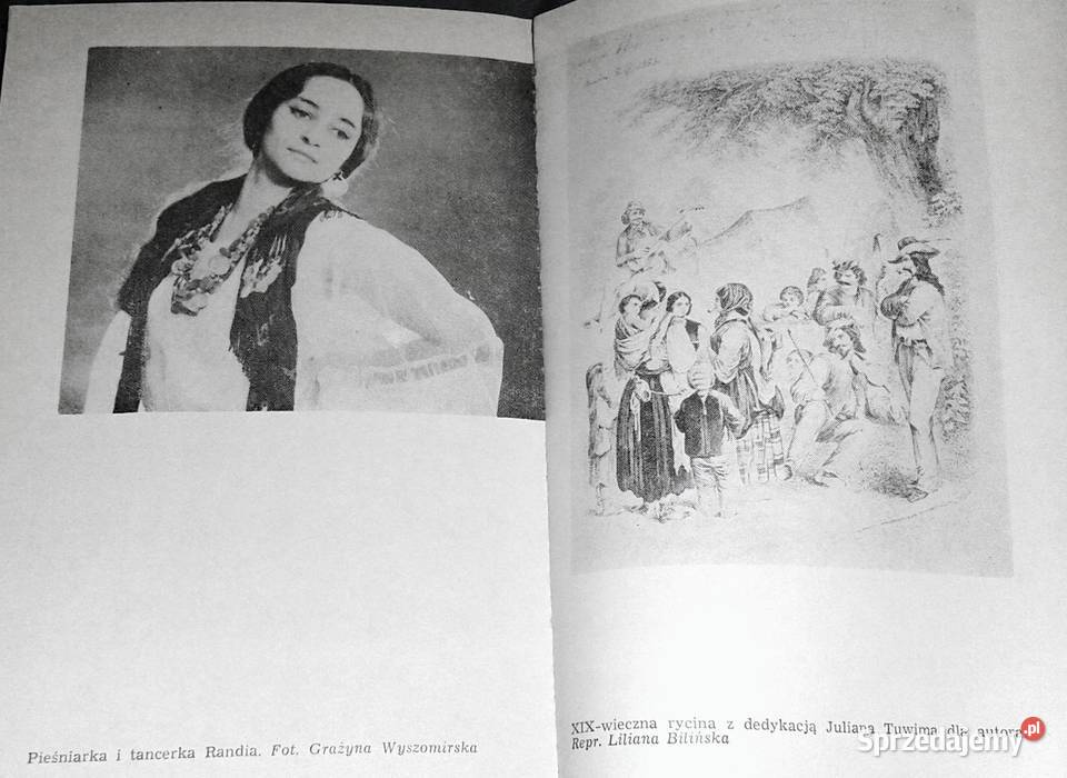 Demony cudzego strachu Jerzy Ficowski miękka Pozostałe Chełm