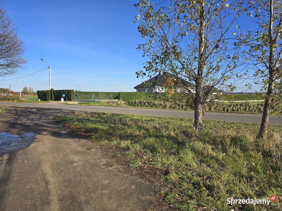 Działka budowlana Głogowa 68 000 dolnośląskie Głogów sprzedam