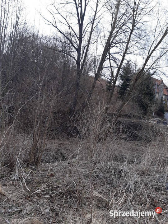 Grunt Niedźwiedzica