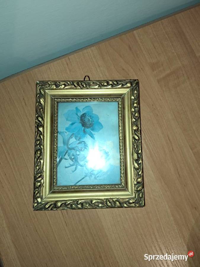 Stary obrazek w pięknej ramie papier szkłem Lubań