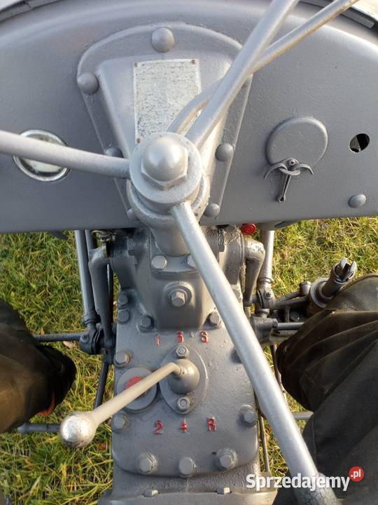 Massey Ferguson Radom sprzedam