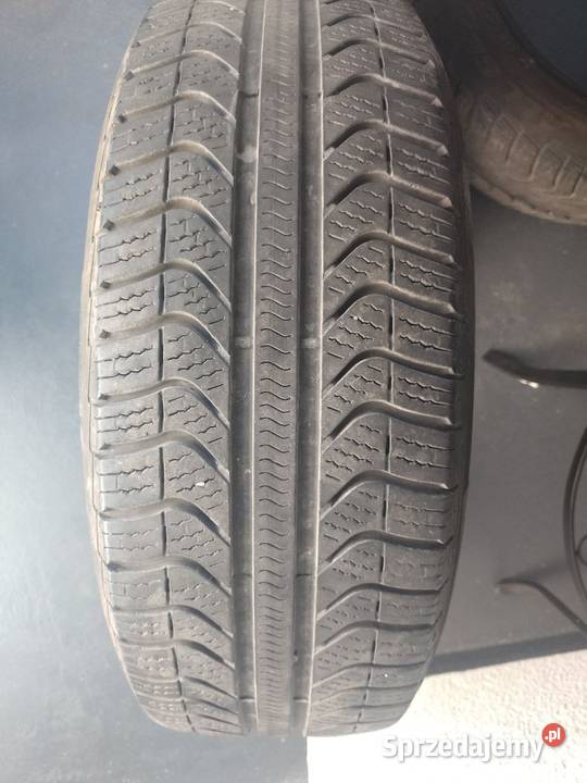 Opony Pirelli Cinturato All Season Plus 19555 całoroczne Samochodowe Warszawa