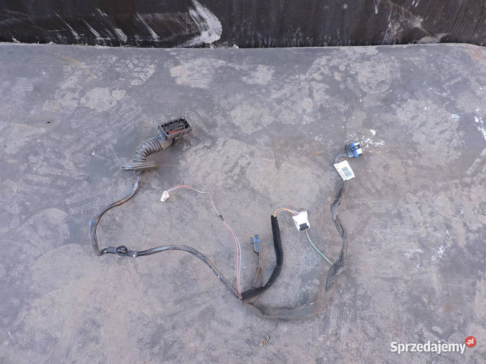 Wiązka drzwi prawy tył Renault Megane II 19 DCI Układ elektryczny Myszków