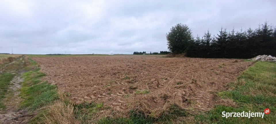 Działka Wierzchowiska Pierwsze 7540m2