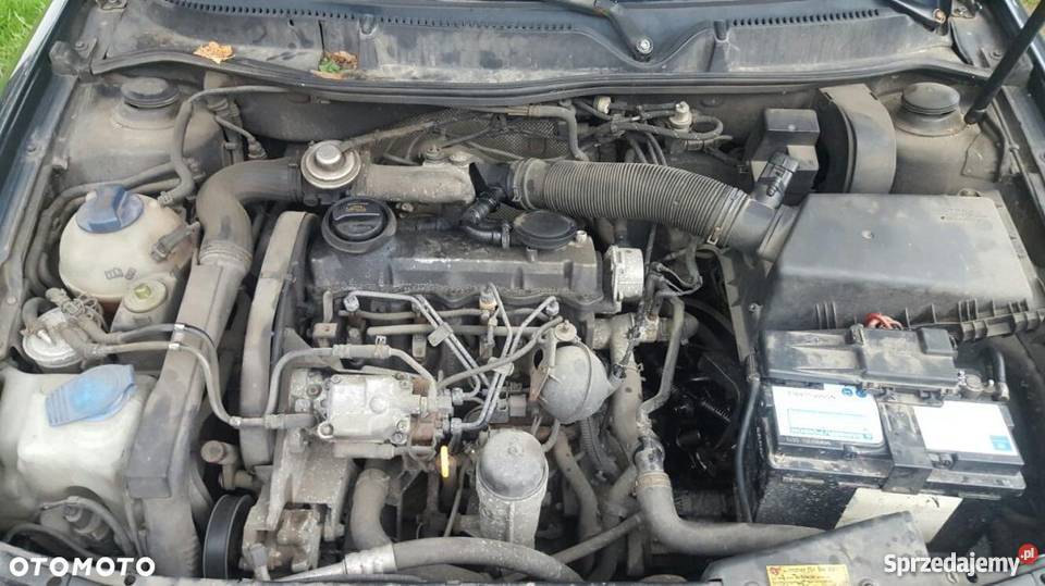 Seat Leon 19 TDi 110 zachodniopomorskie