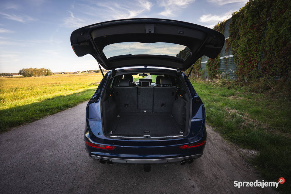 Audi SQ5 30 V6T Premium Plus 3000cm3 SQ5 świętokrzyskie Piekoszów