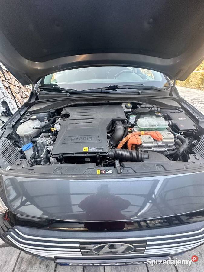 HYUNDAI IONIQ hybryda automatyczna IONIQ Grudziądz